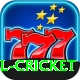 all cricket Platinum Pro vv2.6.4