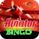 bingo Turbo vv3.6.1