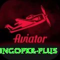 bingopkr Super vv5.4.1