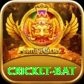 cricket bat Master vv2.9.6