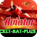 cricket bat VIP vv2.8.1