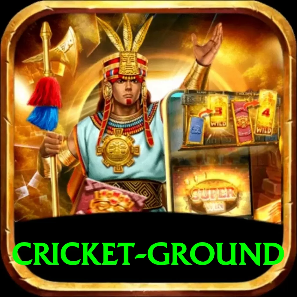 cricket ground Turbo Pro vv4.3.4 - 2