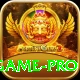 dragon tiger game Gold Edition vv4.2.7