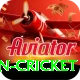 india pakistan cricket Turbo Pro vv1.0.4
