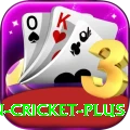 india pakistan cricket Turbo vv1.4.3