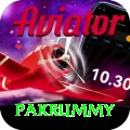 pakrummy Pro Max vv3.0.1