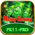 pk11 Platinum v4.1.7