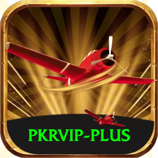 pkrvip Pro Max vv3.3.2 - 2