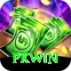 PKWin App Pro vv5.1.4