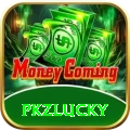 pkzlucky Apps (Tools & Injectors) Pro vv2.9.6