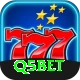 Q5Bet Platinum Pro vv3.9.0