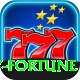 Ruby Fortune Pro