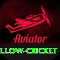 willow cricket App