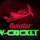 willow cricket App