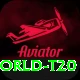 world t20 Pro Max vv2.1.7